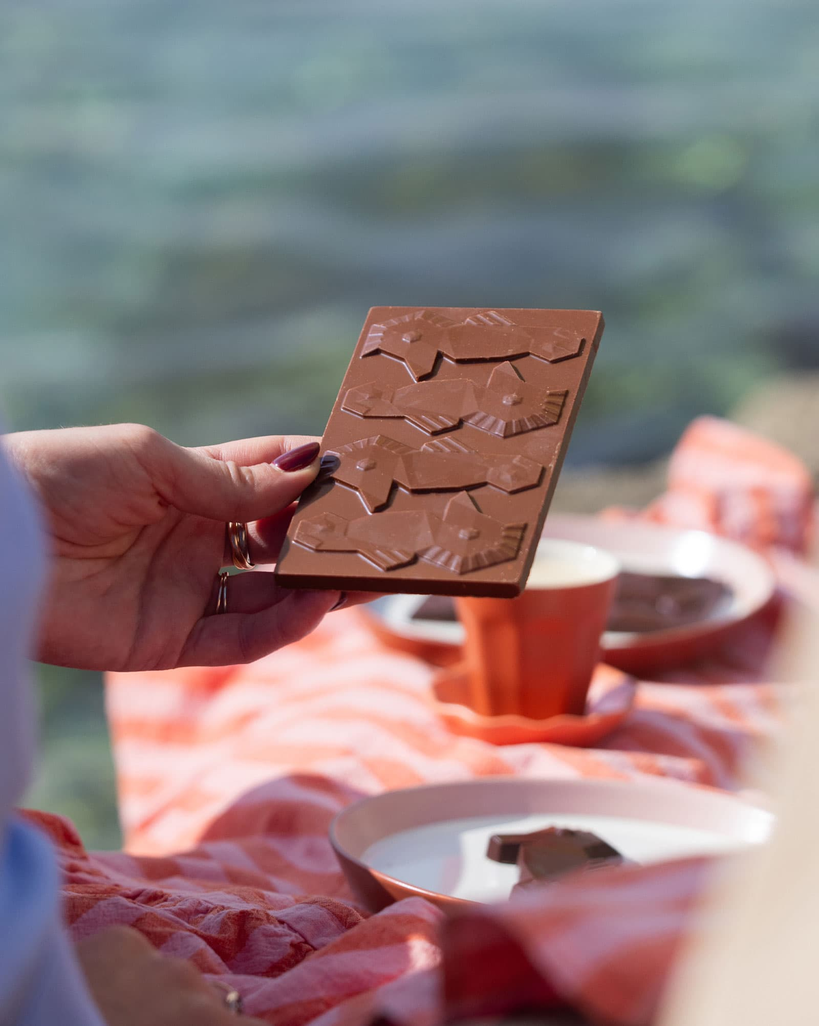 Tafel Schokolade mit Seepferdchen